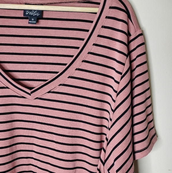 Oak & Trellis Striped V-Neck Boxy Tee | Pink/Black | Plus 2X - Picture 3 of 7